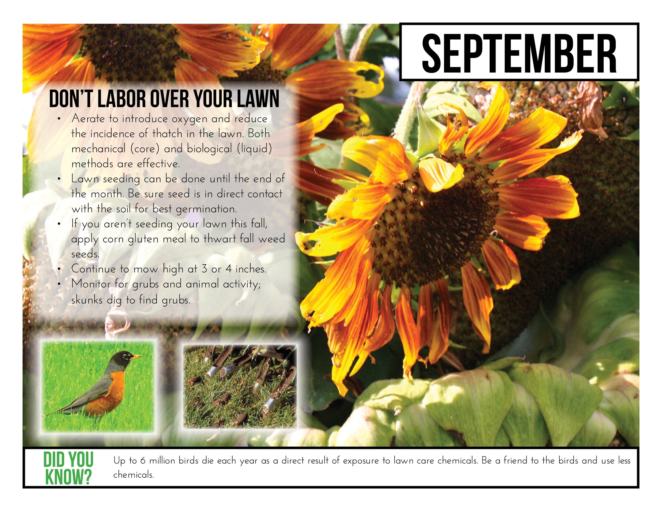 September Dont Labor Over Your Lawn